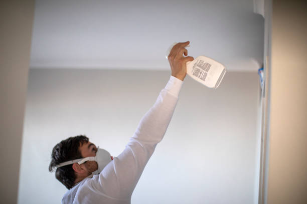 Crawl Space Mold Removal in Crawfordville, FL