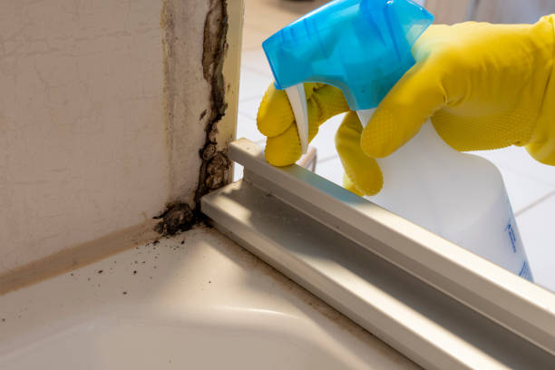 Best Emergency Mold Removal  in Crawfordville, FL