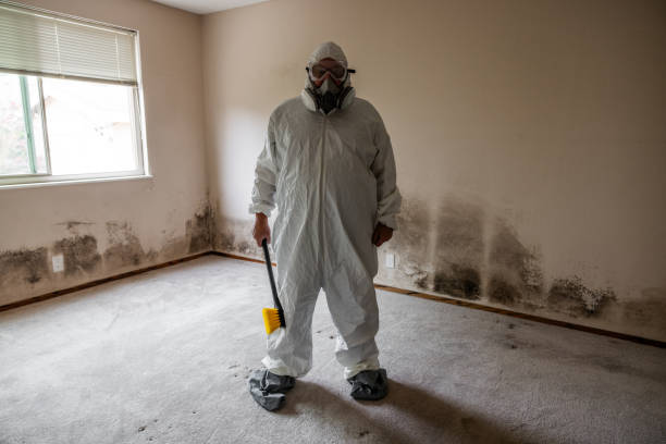 Best Certified Mold Removal  in Crawfordville, FL
